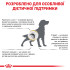 Сухий корм для дорослих собак з захворюваннями сечовивідних шляхів ROYAL CANIN URINARY S/O DOG (домашня птиця), 2 кг